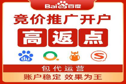 某企业选择SEM外包公司的决策与成果展示