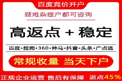 百度竞价广告投放成功案例解析
